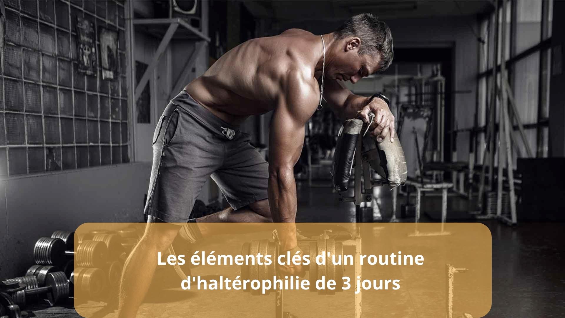 routine d'haltérophilie de 3 jours